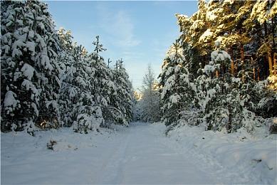 《夏日重现》漫改游戏1月26日发售 TVCM公开 